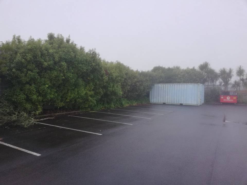 Hedge Before Pruning