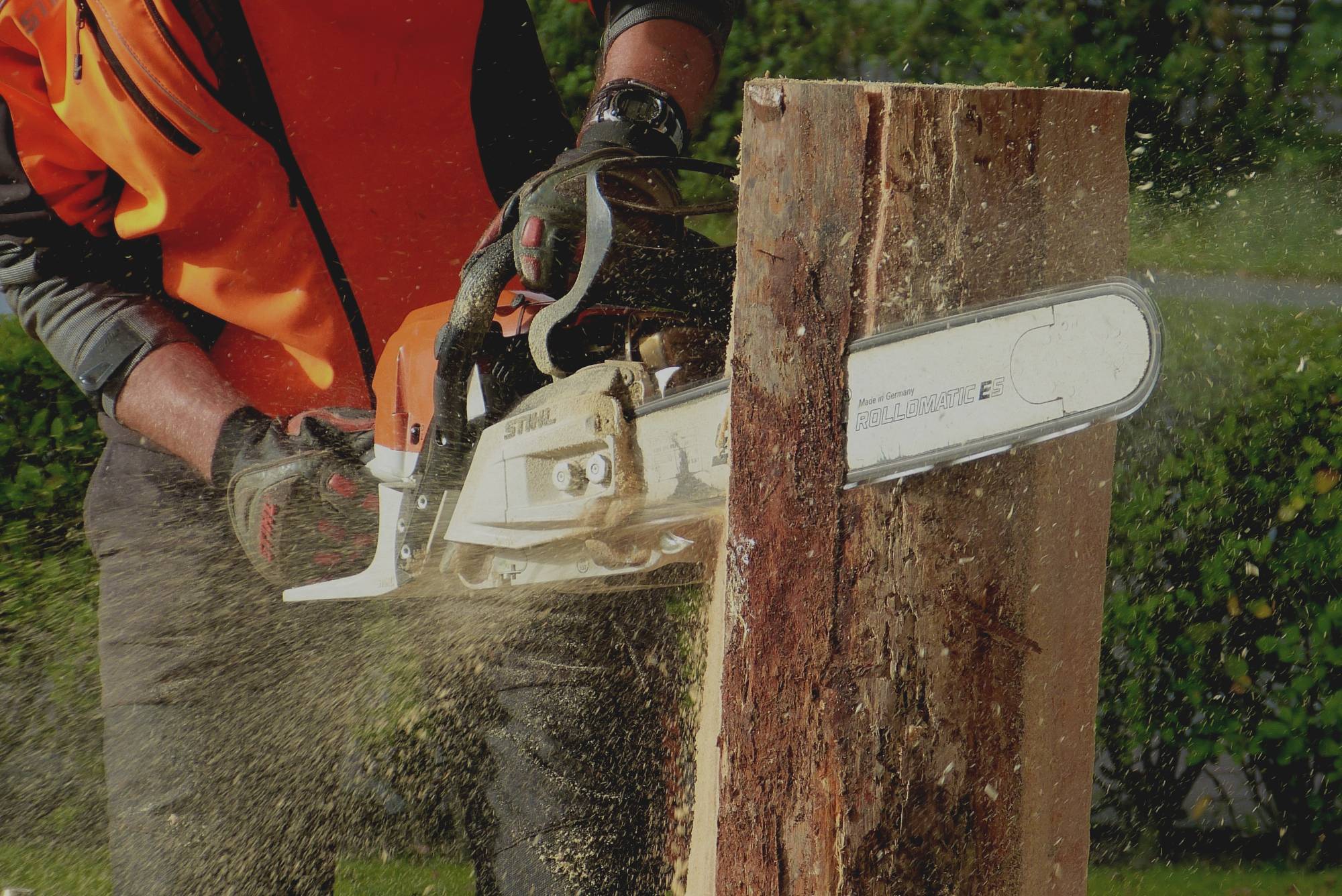 Chainsaw cutting through a tree stump